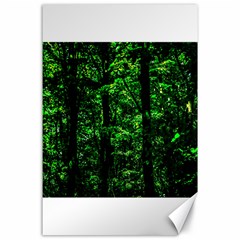 Emerald Forest Canvas 24  X 36  by FunnyCow