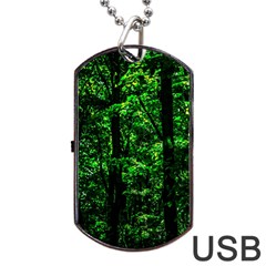 Emerald Forest Dog Tag Usb Flash (one Side) by FunnyCow