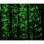 Emerald Forest Deluxe Canvas 14  x 11  14  x 11  x 1.5  Stretched Canvas