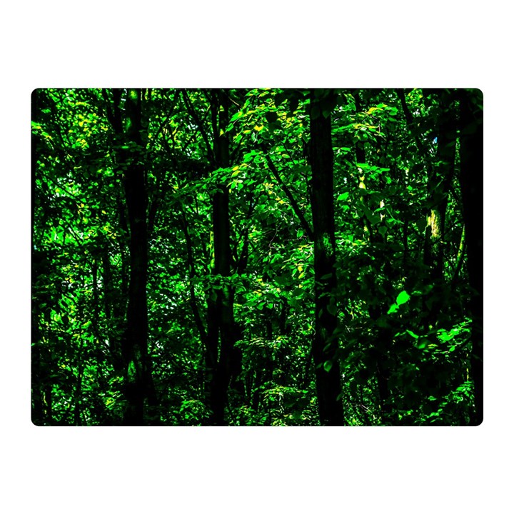 Emerald Forest Double Sided Flano Blanket (Mini) 