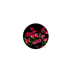 Pink Tulips Dark Background 1  Mini Magnets by FunnyCow