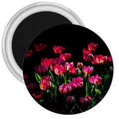 Pink Tulips Dark Background 3  Magnets by FunnyCow