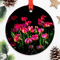 Pink Tulips Dark Background Ornament (round) by FunnyCow