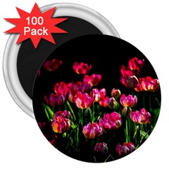 Pink Tulips Dark Background 3  Magnets (100 Pack) by FunnyCow