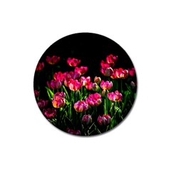 Pink Tulips Dark Background Magnet 3  (round)