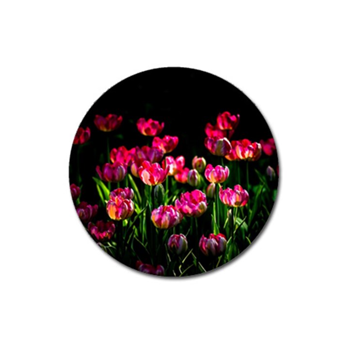 Pink Tulips Dark Background Magnet 3  (Round)