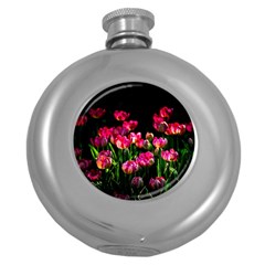 Pink Tulips Dark Background Round Hip Flask (5 Oz) by FunnyCow