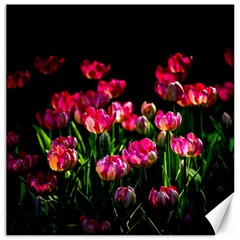 Pink Tulips Dark Background Canvas 16  X 16   by FunnyCow