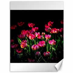 Pink Tulips Dark Background Canvas 36  X 48   by FunnyCow