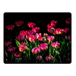 Pink Tulips Dark Background Fleece Blanket (Small) 50 x40  Blanket Front