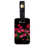 Pink Tulips Dark Background Luggage Tags (One Side)  Front