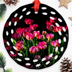 Pink Tulips Dark Background Ornament (round Filigree) by FunnyCow