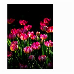 Pink Tulips Dark Background Large Garden Flag (two Sides)