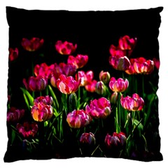 Pink Tulips Dark Background Large Cushion Case (two Sides) by FunnyCow