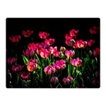 Pink Tulips Dark Background Double Sided Flano Blanket (Mini)  35 x27  Blanket Front