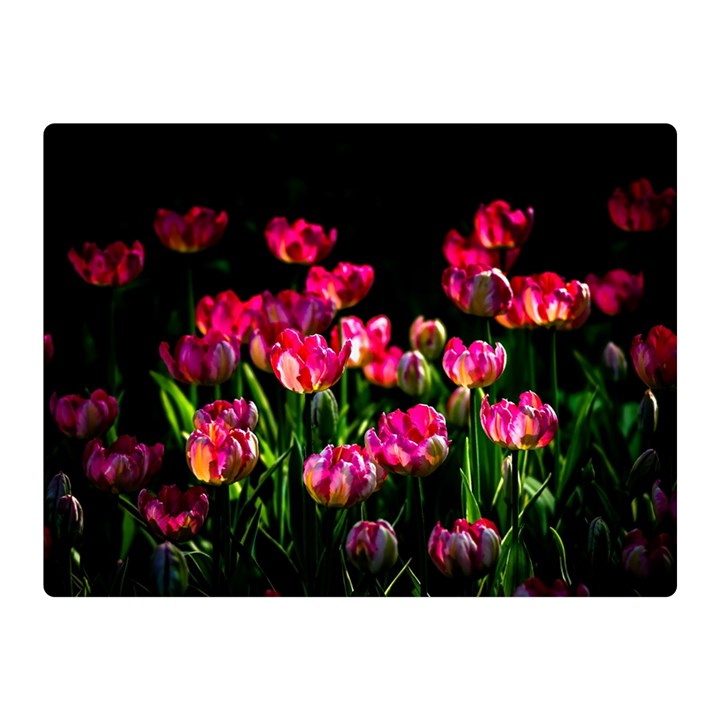 Pink Tulips Dark Background Double Sided Flano Blanket (Mini) 