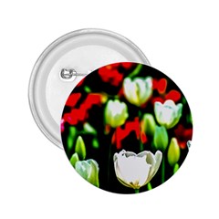 White And Red Sunlit Tulips 2 25  Buttons by FunnyCow