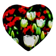 White And Red Sunlit Tulips Ornament (heart) by FunnyCow