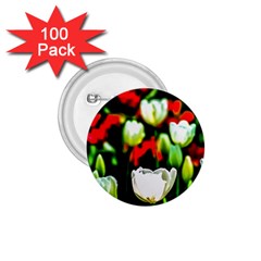 White And Red Sunlit Tulips 1 75  Buttons (100 Pack)  by FunnyCow