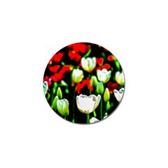 White And Red Sunlit Tulips Golf Ball Marker by FunnyCow