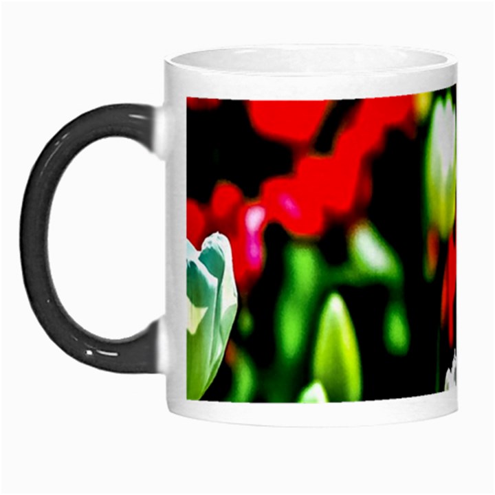 White And Red Sunlit Tulips Morph Mugs