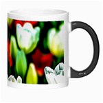 White And Red Sunlit Tulips Morph Mugs Right