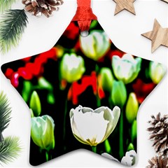 White And Red Sunlit Tulips Star Ornament (two Sides) by FunnyCow