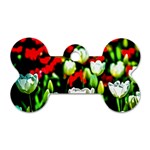 White And Red Sunlit Tulips Dog Tag Bone (One Side) Front