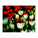 White And Red Sunlit Tulips Small Glasses Cloth (2-Side) Back