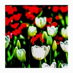 White And Red Sunlit Tulips Medium Glasses Cloth by FunnyCow