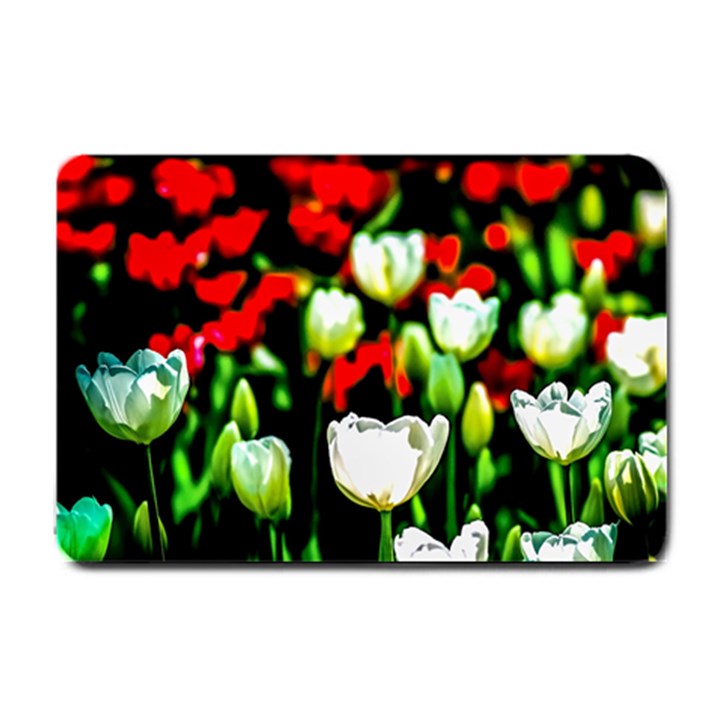 White And Red Sunlit Tulips Small Doormat 