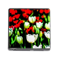 White And Red Sunlit Tulips Memory Card Reader (square 5 Slot) by FunnyCow