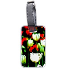 White And Red Sunlit Tulips Luggage Tags (two Sides) by FunnyCow