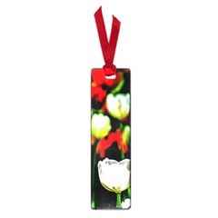 White And Red Sunlit Tulips Small Book Marks by FunnyCow