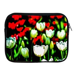 White And Red Sunlit Tulips Apple Ipad 2/3/4 Zipper Cases by FunnyCow