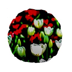 White And Red Sunlit Tulips Standard 15  Premium Flano Round Cushions by FunnyCow