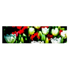 White And Red Sunlit Tulips Satin Scarf (oblong) by FunnyCow