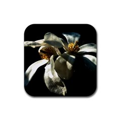 Two White Magnolia Flowers Rubber Coaster (square)  by FunnyCow