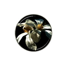 Two White Magnolia Flowers Hat Clip Ball Marker (10 Pack) by FunnyCow