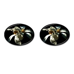 Two White Magnolia Flowers Cufflinks (oval) by FunnyCow