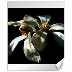 Two White Magnolia Flowers Canvas 16  X 20   by FunnyCow