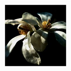 Two White Magnolia Flowers Medium Glasses Cloth (2-side) by FunnyCow