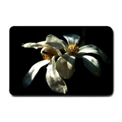 Two White Magnolia Flowers Small Doormat  by FunnyCow