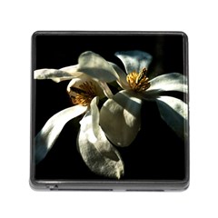 Two White Magnolia Flowers Memory Card Reader (square 5 Slot) by FunnyCow