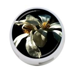 Two White Magnolia Flowers 4-port Usb Hub (two Sides) by FunnyCow