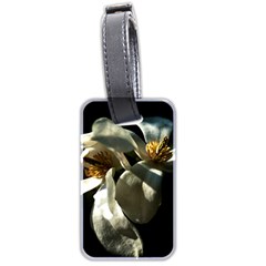 Two White Magnolia Flowers Luggage Tags (two Sides) by FunnyCow