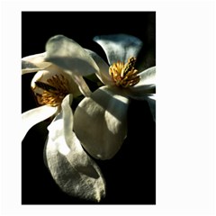 Two White Magnolia Flowers Small Garden Flag (two Sides) by FunnyCow