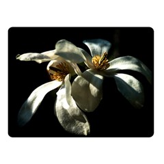 Two White Magnolia Flowers Double Sided Fleece Blanket (small)  by FunnyCow