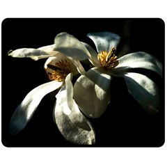 Two White Magnolia Flowers Double Sided Fleece Blanket (medium)  by FunnyCow