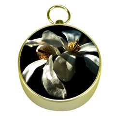 Two White Magnolia Flowers Gold Compasses by FunnyCow